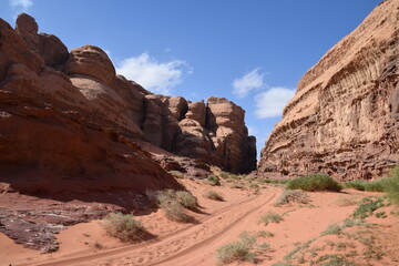 Fototapeta premium Huge canyon with vegetation on sandy soil in the Wadi Rum Desert, Wadi Rum Desert, Jordan (Natur, Parks/im Freien)