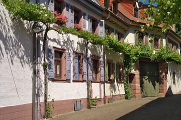 Fototapeta premium Schriesheim