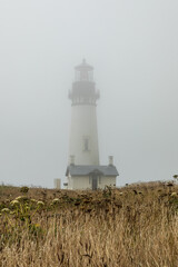 Vertical Image -Yaquina Head Lighthouse on a foggy day