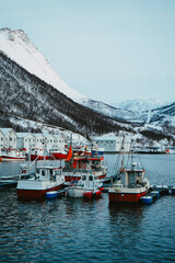 Łodzie rybackie w marinie © Joanna