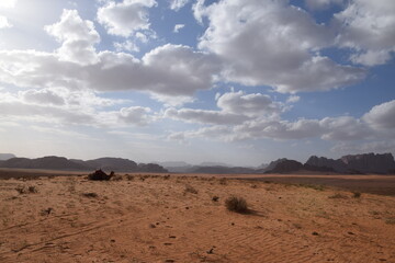 A camel in the sand of the desert amidst a beautiful landscape, Wadi Rum Desert, Jordan