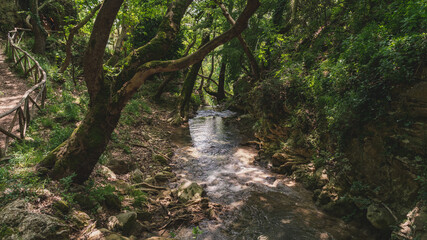 Naklejka na ściany i meble water creek at the forest of Palia Kavala Greece