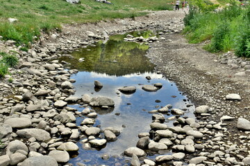 Dreisam in Freiburg bei Niedrigwasser