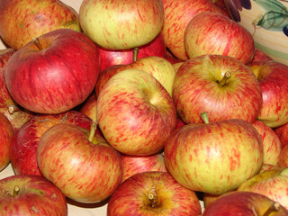 Local homegrown collection of red apples