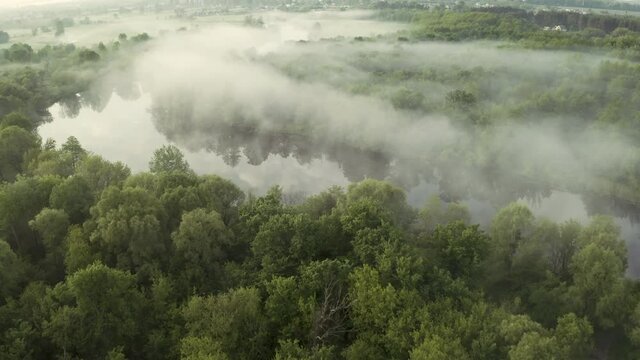 The drone's turn over the misty river is 180 degrees. A cinematic flight over a misty river on a summer morning in the woods among the trees.