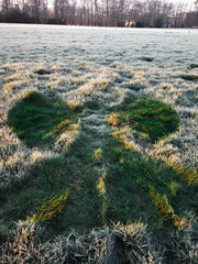 Green Snow angel on a white frost covered grass meadow