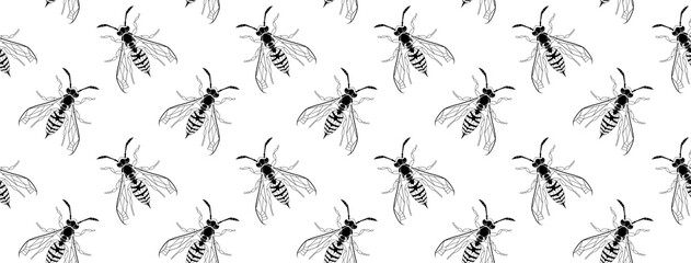 Dark gothic asp insect seamless wallpaper. Dangerous design for textile, fabric texture. Black line bugs cover on white backdrop. Vector Bumblebee drawing web banner. Wild Nature graphic print