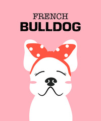 Female French bulldog. Hand draw vector illustration art on pink pastel background.