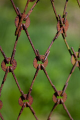 Rusty mesh closeup on a dark background of green leaves