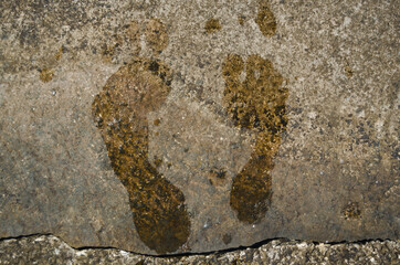 footprint on the beach