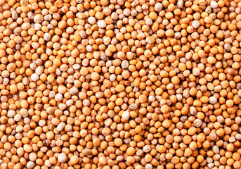 Mustard seeds close-up, background. The view from top