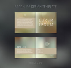 Vector brochure, booklet, presentation design template with beige soft blurred abstract background