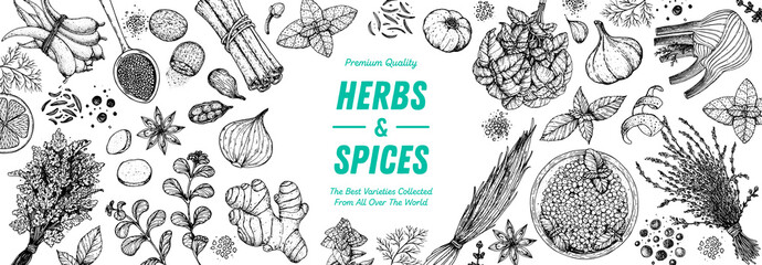 Herbs and spices hand drawn vector illustration. Aromatic plants. Hand drawn food sketch. Vintage illustration. Card design. Sketch style. Spice and herbs black and white design. - obrazy, fototapety, plakaty