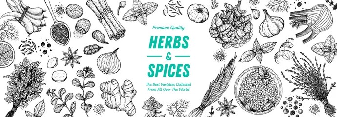 Poster Herbs and spices hand drawn vector illustration. Aromatic plants. Hand drawn food sketch. Vintage illustration. Card design. Sketch style. Spice and herbs black and white design. © DiViArts