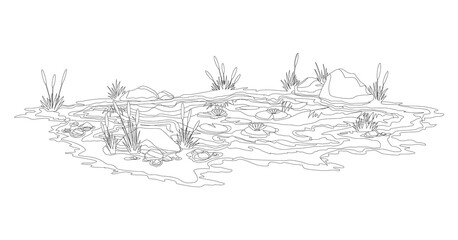 Coloring water pond with reeds and stones around. Concept of open small swamp lake in natural landscape style. Graphic design for spring season