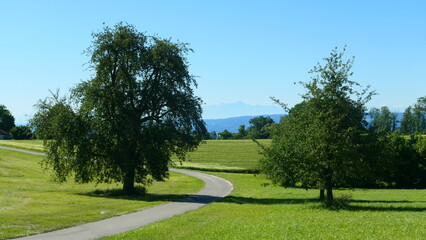 Obraz premium Blick von der Homburg auf den Säntis