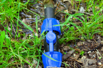blue pipe for watering