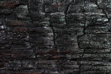 Burnt wood texture