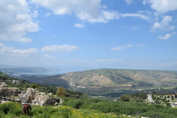 Fototapeta na wymiar View over the landscape from the ruins of Umm Qais, Jordan