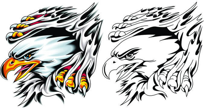 American eagle clawing flesh. Vector illustration in tattoo style.