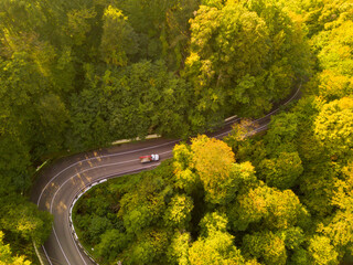 Aerial view flying over road with car moving, that through lane green forest.