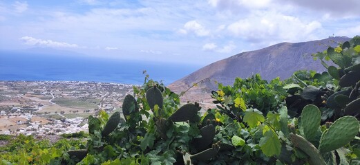 landscape with mountains