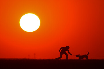 Woman playing with a dog at sunset. The shape of their silhouette is visible. wallpaper