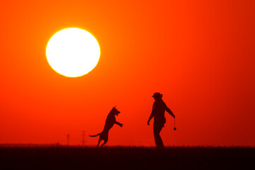 Woman playing with a dog at sunset. The shape of their silhouette is visible. wallpaper