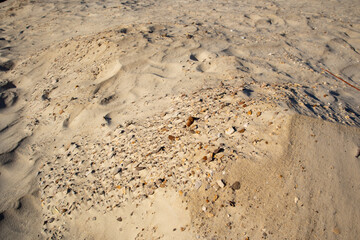 Desert landscape. Dunes of orange sand, sunny day, shadows on the sand, wind wrinkles on the sand, dry small bushes.