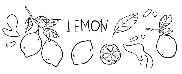Lemon vector doodle elements and lettering set. The inscription 