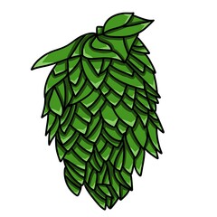 Isolated autumn things: green hop cone