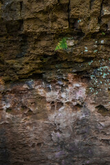 Rockface at Clifty Creek Park, Indiana