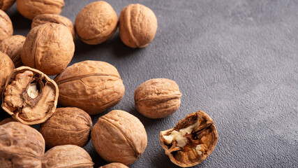 Walnut on gray background. Space for text