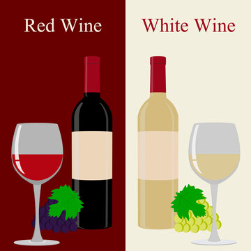 Vector illustration of red and white wine.