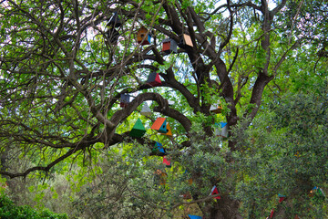 colorful bird nests hanging on tree branches