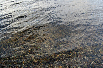 pebbles under water in shallow water