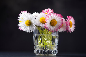 Summer flowers on a black background