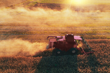 Fototapeta premium Combine harvester agriculture machine harvesting golden ripe wheat field