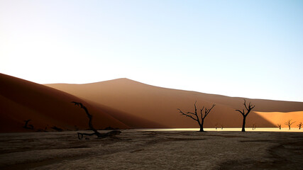 Fototapeta na wymiar Namib Sand Sea and Sossusvlei with dead trees