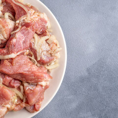 Top view of marinated pork meat redy to cook on skewers. Picnic. Text space