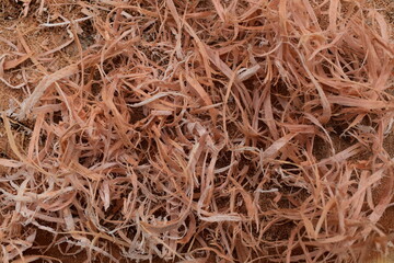 Small brown wood shavings