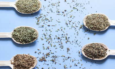 Wooden spoons with spices. Collection of spices from herbs on the blue background.