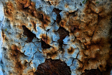 Texture surface, cracked, roughness. Background image