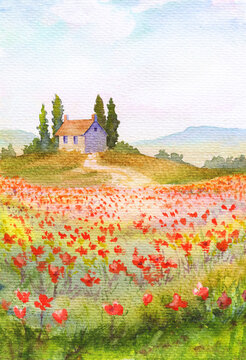 Summer watercolor illustration with grass field with flowers and house  and trees on hill. Poppies and other wild flowers, peaceful sky with clouds