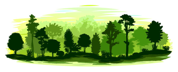 Forest landscape. Isolated on a white background. Plant Scenery, horizon. Silhouettes of trees, bushes. Vector illustration. Jungle.