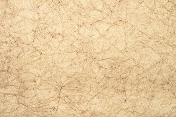 Texture of a yellowed, crumpled sheet of paper