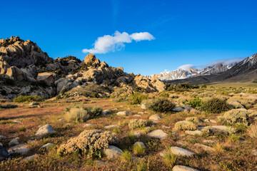 Fototapeta na wymiar white cloud hangs in blue sky above rocky desert plain mountain meadow with native plants blooming with tiny white wildflowers to distant snowy peaks