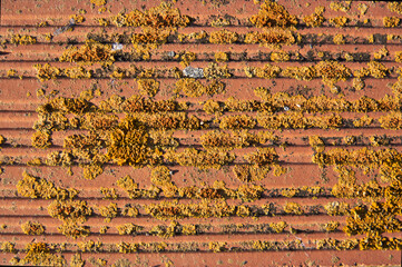 Brick with horizontal lines and fungi that grow due to being outdoors