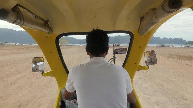 Man driving Auto rickshaw in Asia rear view