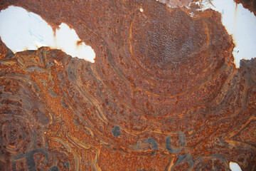 Detail of abstract corroded colorful rusty metal background
